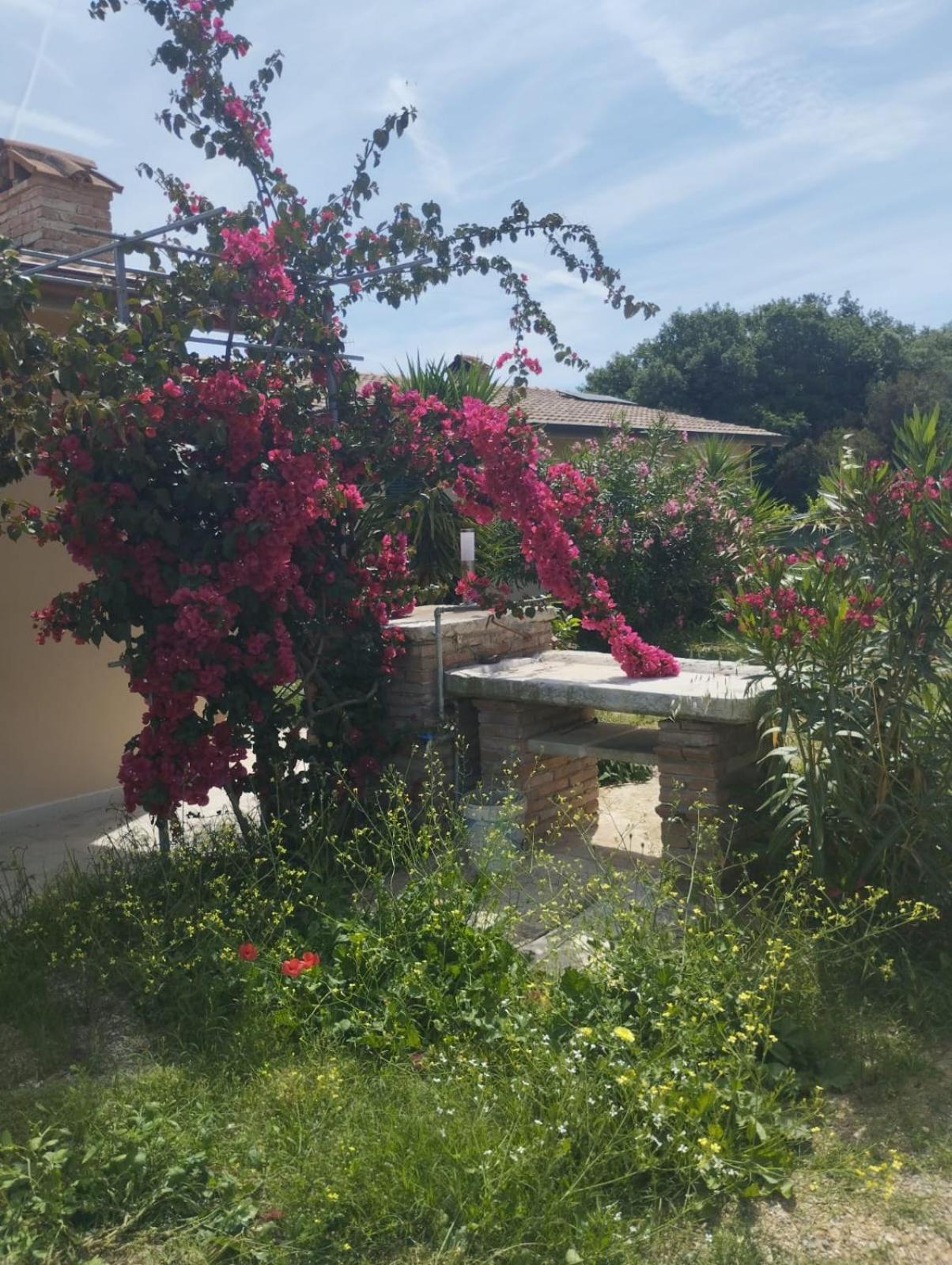 Appartamenti Mirella Capoliveri  Bagian luar foto